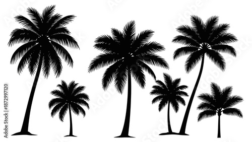 Row of various tropical palm tree silhouettes, isolated white background