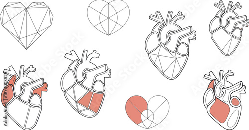 “Black Anatomical Human Heart Vector Set – Medical, Love, Cardiology and Tattoo Style Illustration”
