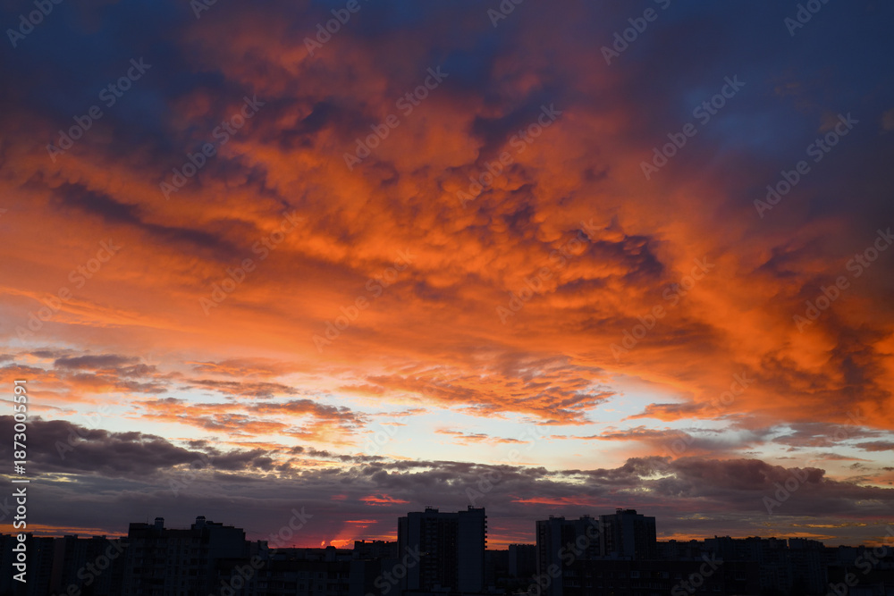 Fototapeta premium Beautiful panoramic sunset with city on the horizon