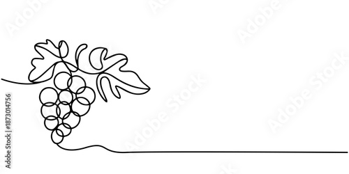 One continuous line illustration of an grape , isolated on white background, Continuous one line drawing of a bunch of grapes,  representing elegance and natural sweetness, line art style vector