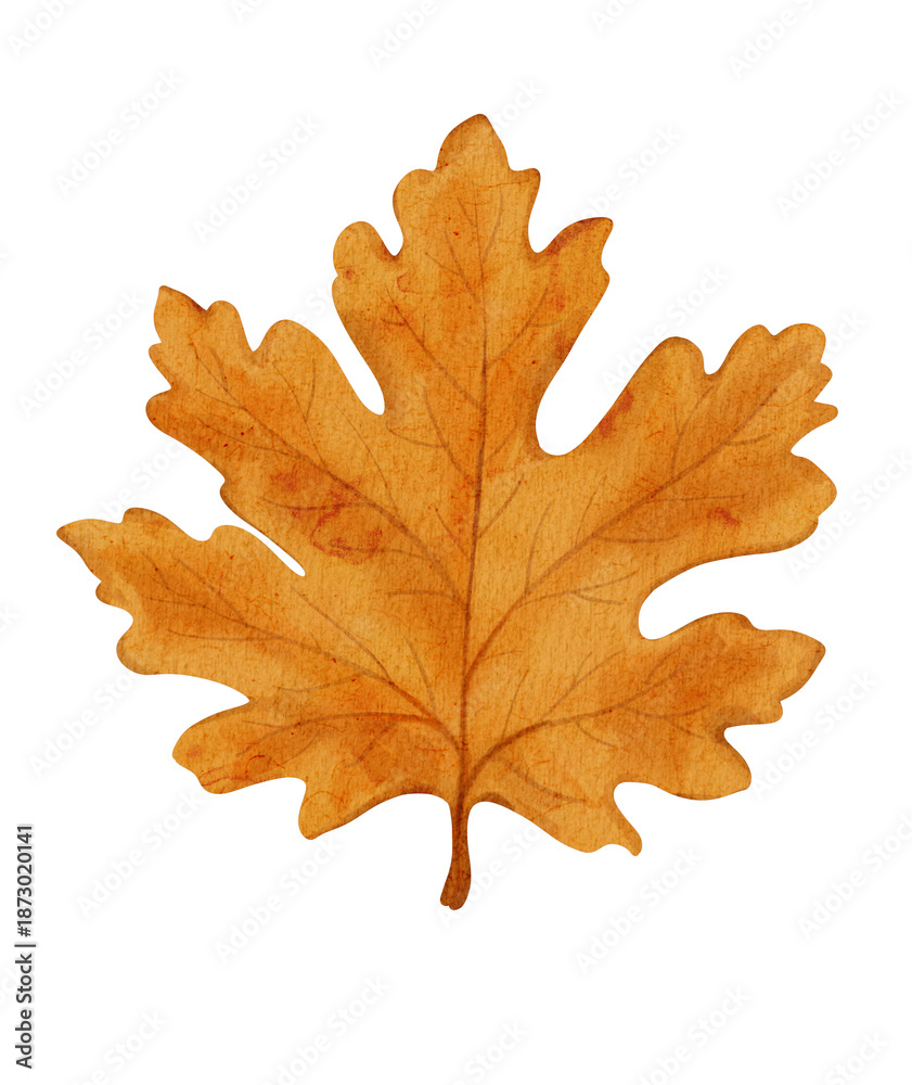 Fototapeta premium yellow maple leaf watercolor illustration 