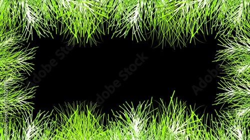 Summer Leaves Grass Frame Loop Animation Transparent Background Alpha Channel