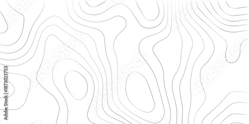 Abstract black and white vector background featuring a floral ornament pattern with swirl elements and tribal scroll curves for a decorative art illustration