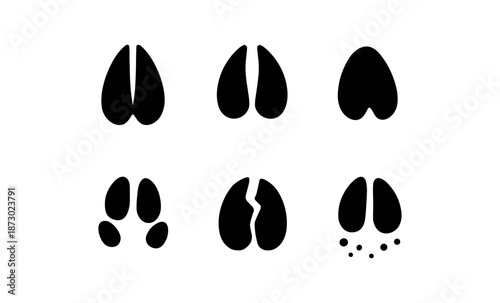 Collection of six distinct black animal hoof prints on a white background