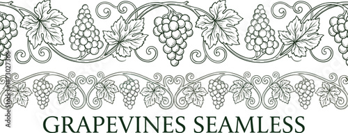Grapevine seamless border, grape clusters, vineyard leaves, wine-themed pattern, nature design, decorative foliage, curling tendrils, botanical ornament, flat vector illustration