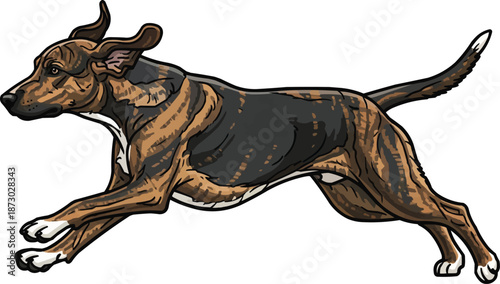 Plott Hound dog running energetic athletic hunting movement