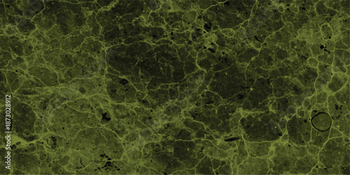 Close-up abstract texture resembling cracked earth or a distressed natural surface with a dominant dark green hue and lighter green veins, ideal for grunge or organic design elements
