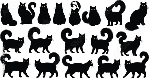 Black cat silhouettes, feline poses, walking cats, sitting cats, curled tails, pet illustration, animal shapes, vector design, isolated icons, domestic cats