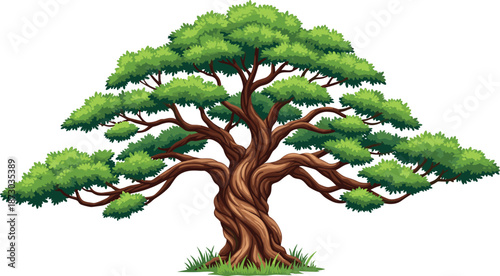 Majestic oak tree with wide canopy twisted trunk green foliage vector illustration isolated nature landscape design