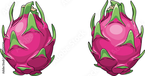 Pink dragon fruits with green spikes on white background tropical