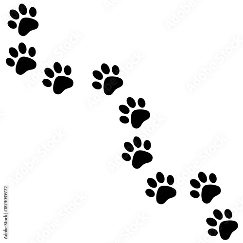 Trail of Black Paw Prints Isolated on White Background