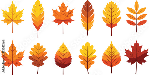Autumn leaves in shades of yellow orange and red on white background fall foliage