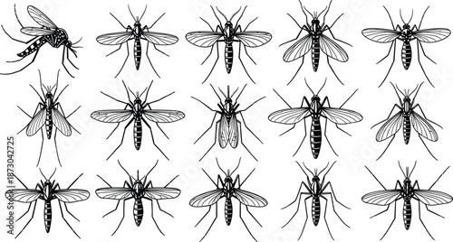 Mosquito vector illustration, insect silhouette collection, dangerous mosquito icons, pest control design, tropical insect artwork, disease carrying mosquitoes, black outline drawings