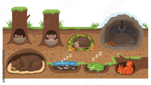 Animals Hibernating Underground in Winter.