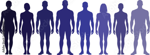 Silhouettes of eight human figures display varying body shapes and heights arranged side by side to illustrate body type diversity in shades of blue.