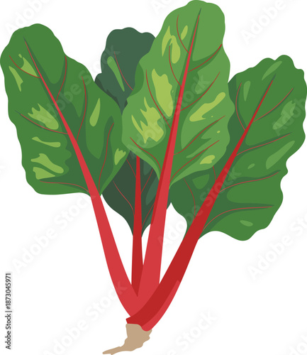 Gave me a title about this photo 'must be 20 words' for adobe stock with SEO maintain with comma