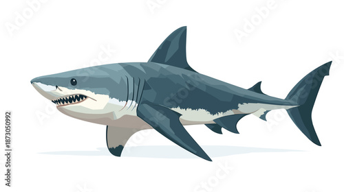 Great White Shark Swimming with Open Mouth.