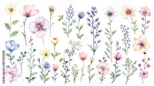 Wildflowers, herbs boho bouquet painted in watercolor. Dried pampas grass floral border. Botanical boho elements isolated on white. Wedding invitation, greeting, card, print, scrapbooking