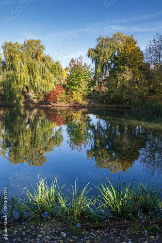 Pond in Moczydlo Park in Warsaw