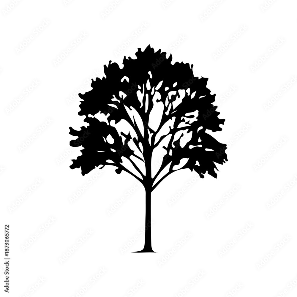 Obraz premium Element decoration of nature. A collection of diverse black tree silhouettes, including various