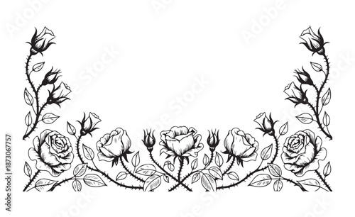 Hand-drawn symmetrical rose vine border with thorns and flower buds, vintage black and white botanical line art illustration.