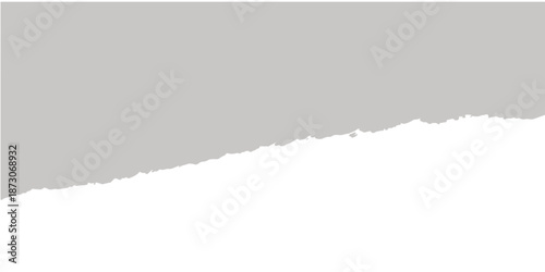 Blank torn paper banner with a ripped hole and grunge texture edges on a cardboard sheet backdrop providing empty space for your text design illustration