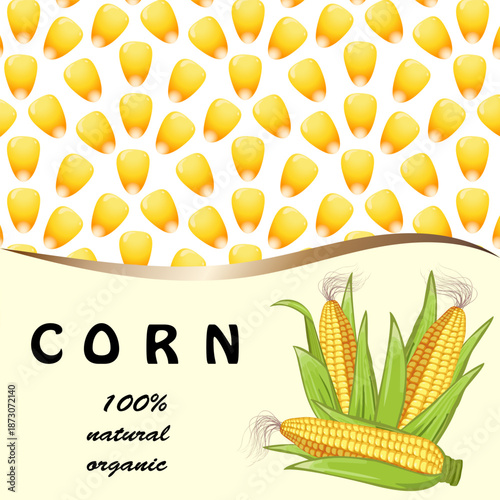A wonderful harvest of organic corn in an advertising banner.Vector illustration with corn and text on an abstract background of grains.