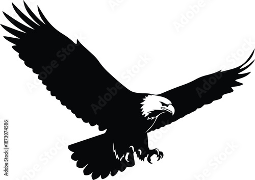 Professional businessman working diligently on laptop in modern office space