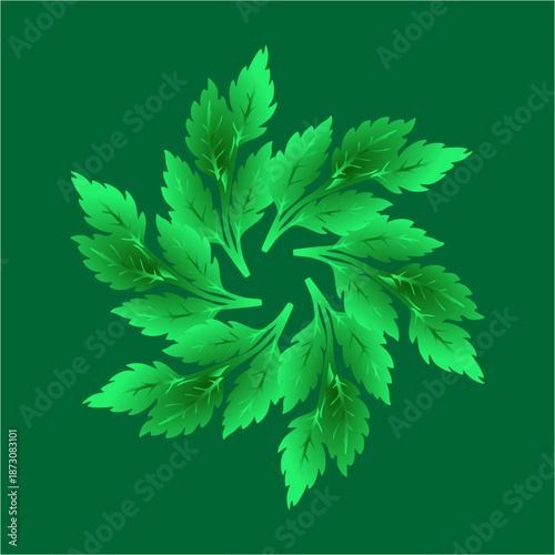 Lush green leaves swirl in harmonious motion, symbolizing freshness, growth, and the endless energy of nature on a deep emerald background.