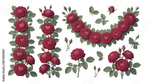 Red roses and buds with green leaves realistic botanical illustration floral bouquet decorative elements romantic floral arrangement