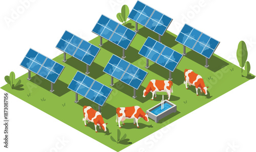 Cows grazing under solar panels farm.
