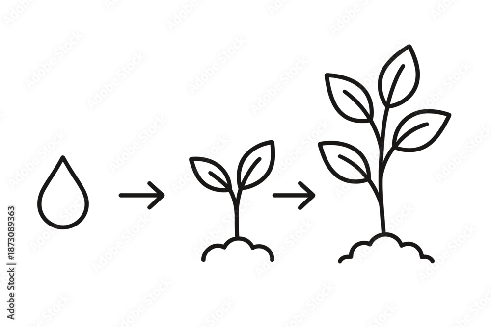 Obraz premium Steps of plant growth from seed to sprout with water as a key factor in development