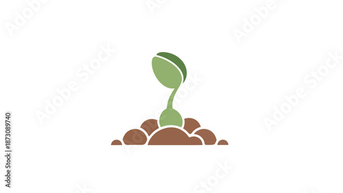 Sprouting seedling growing in fertile soil naturally