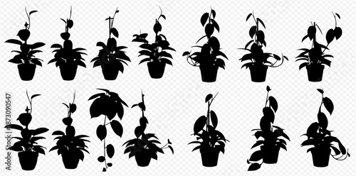 Silhouette Collection of Various Potted Plants for Indoor Decor and Design Projects Featuring Exotic Foliage on a Transparent Background silhouette