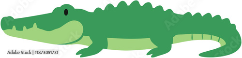 Green cartoon alligator illustration.