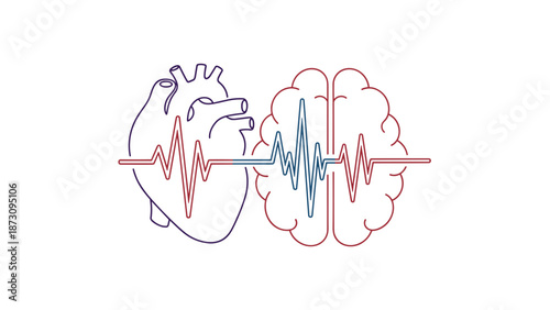 Heart and brain graphic illustration with pulse waveform design  