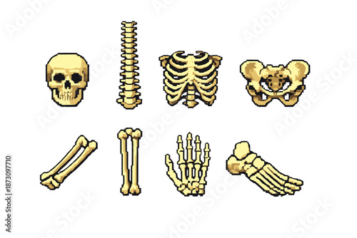 Health and anatomy icon set. Containing skeleton, skull, spine, rib, pelvis, bone, hand, foot and more.
