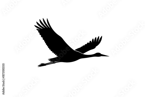 Animal and wildlife icon set. Featuring bird, mammal, reptile, amphibian, insect, fish, habitat, ecosystem, endangered, and more.