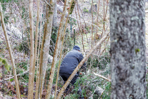 Photography Forest Worker Clearing Brushwood