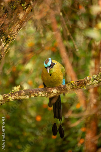 Barranquero in Colombia