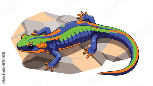 Colorful Salamander Illustration on Stone