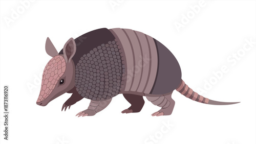 Detailed illustration of an armadillo with its distinctive armored shell in a side profile