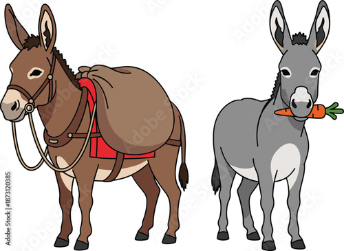 Cartoon donkey characters with load and carrot, cute farm animal vector illustration isolated on white