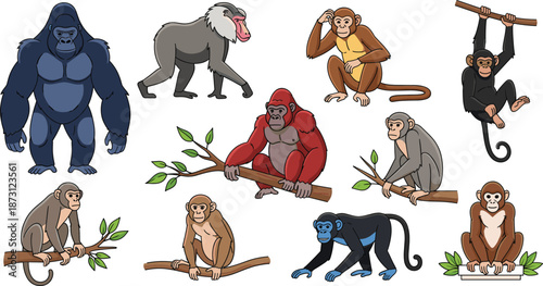Cartoon primate character collection featuring gorillas, chimpanzees, and monkeys in various poses, wildlife vector illustration set