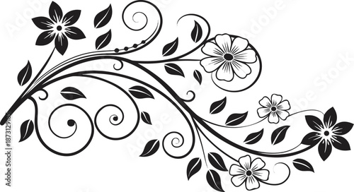 Ornamental design elements - a collection of ornate black and white floral vector elements. Each design should feature intricate swirls, curls, and botanical motifs such as leaves, vines, petals.