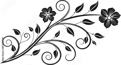 Ornamental design elements - a collection of ornate black and white floral vector elements. Each design should feature intricate swirls, curls, and botanical motifs such as leaves, vines, petals.