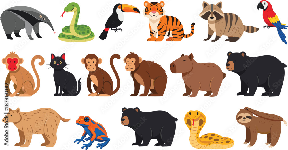 Obraz premium Cute cartoon wild animal character collection including jungle and forest species, colorful wildlife vector illustration set