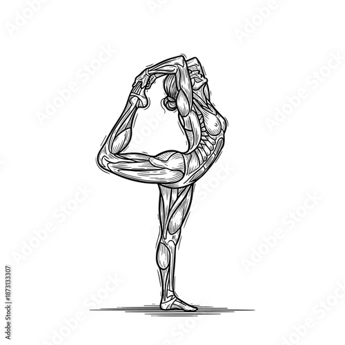 Detailed anatomical illustration of a woman in a yoga pose.
