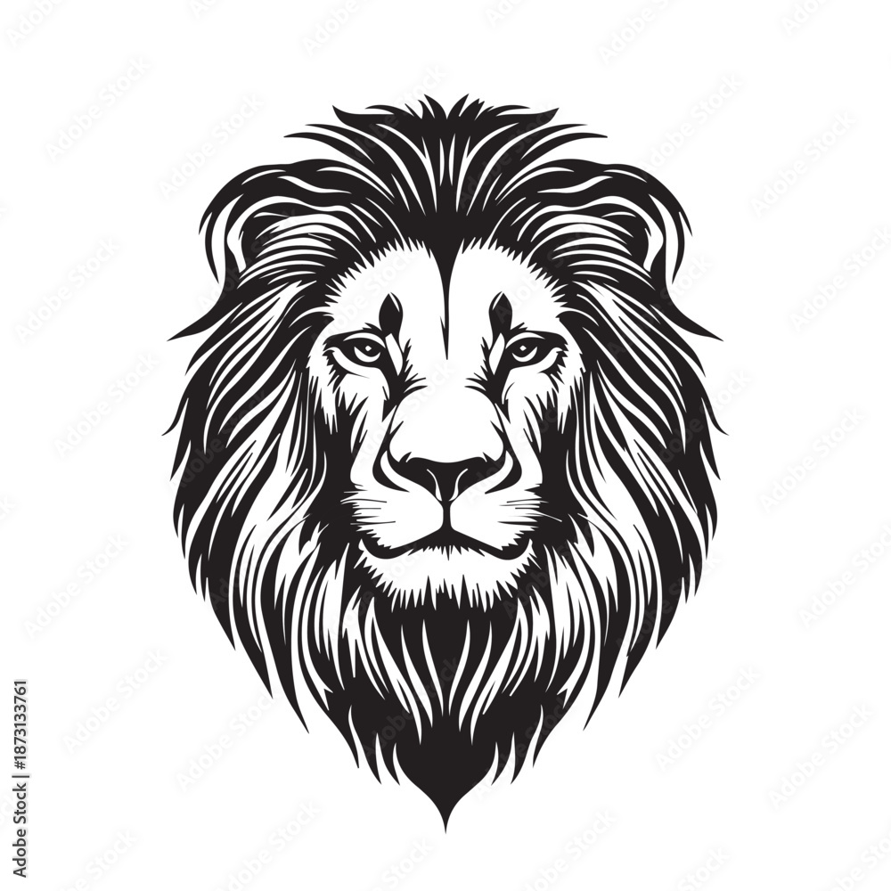 Obraz premium lion head vector