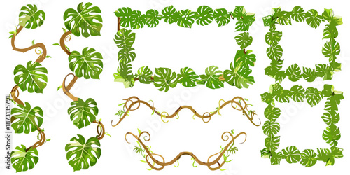 Illustrated jungle plant frames with monstera leaves, ivy, and twisted branches, playful cartoon style, clean vector design